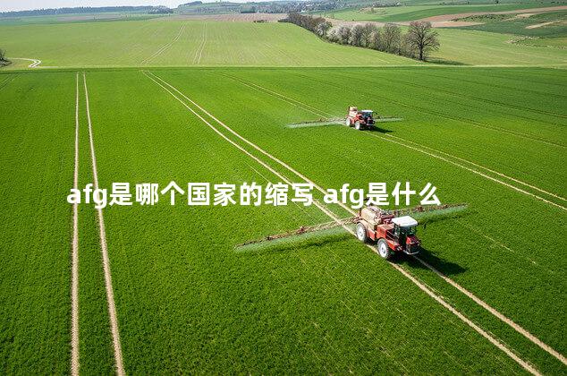 afg是哪个国家的缩写 afg是什么意思